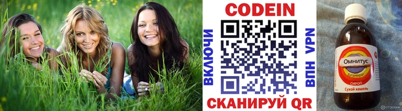 MEGA ссылка  Кизилюрт  Кодеиновый сироп Lean напиток Lean (лин)  купить закладку 
