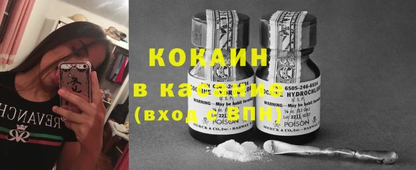 молекула духа Алзамай
