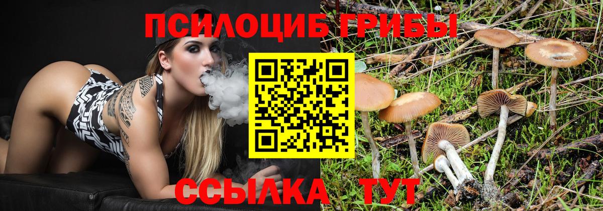 Галлюциногенные грибы Magic Shrooms Кизилюрт